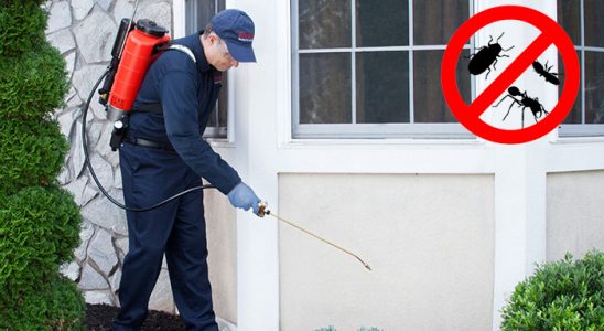 Çal Böcek ve Haşere İlaçlama böcek ilaçlama ve haşere kontrolü — ilaclama-tr.com